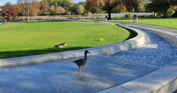 Princess Diana Memorial